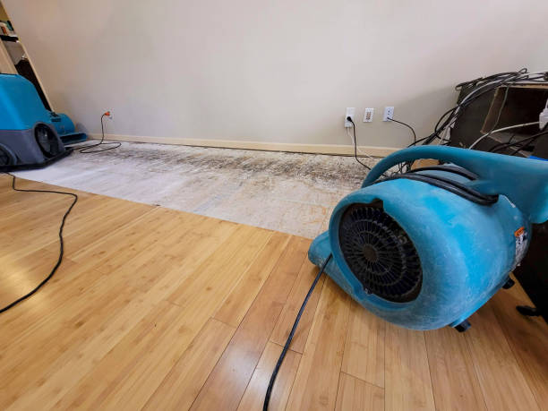 Reliable Basement Flood Cleanup contractor in Crosby, MN by Hirex Water Damage