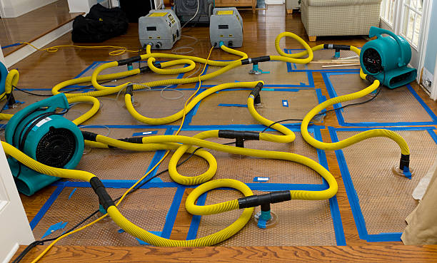 Professional Basement Flood Cleanup technician working in Crosby, MN